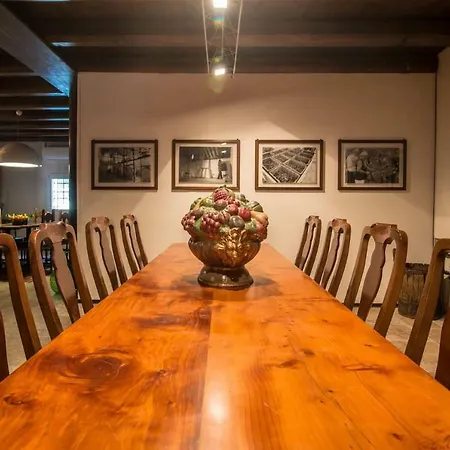 Casa Elisa 别墅